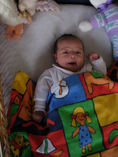 20031203_113036_DSCN1189