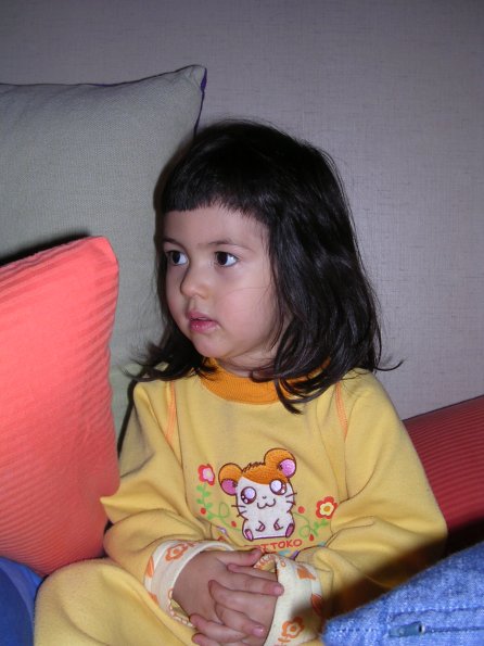 20031225_211743_DSCN1265