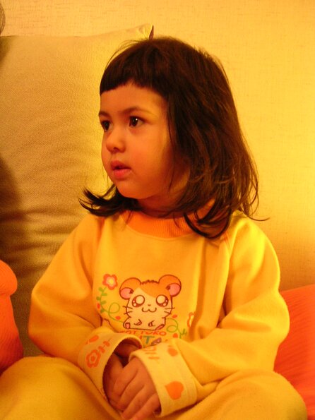 20031225_211918_DSCN1266