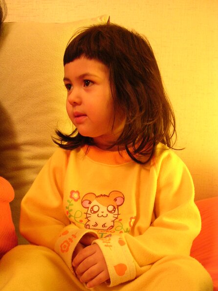 20031225_211928_DSCN1267