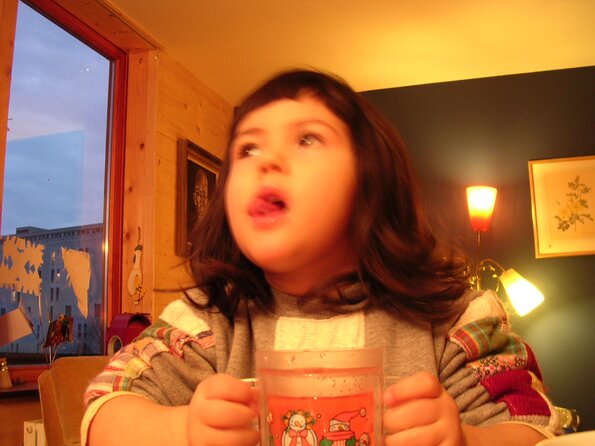 20040110_171958_DSCN1330