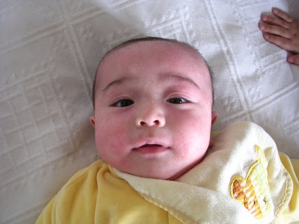 20040410_125215_DSCN1681