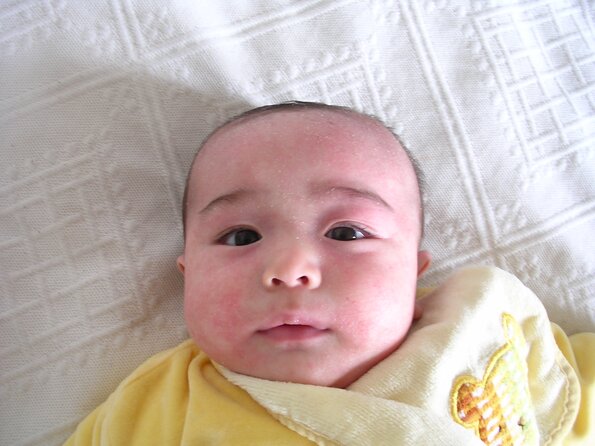 20040410_125232_DSCN1682