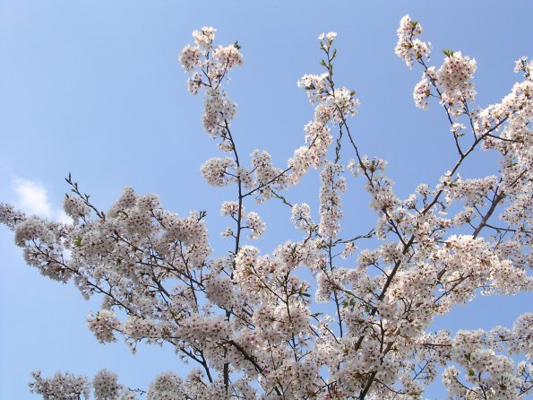 20040412_170103_DSCN1727