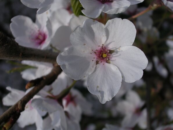 20040412_170135_DSCN1728