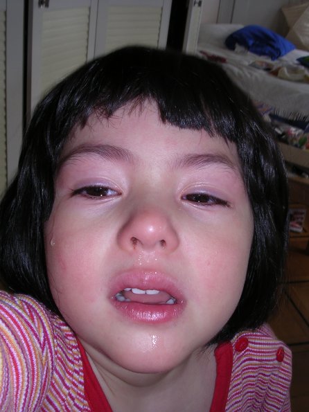 20040420_143847_DSCN1771