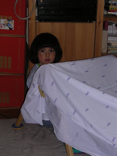 20040501_181722_DSCN1835
