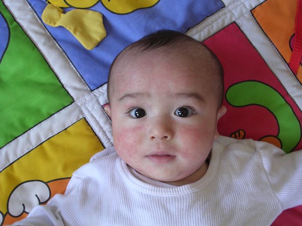 20040520_144815_DSCN1855