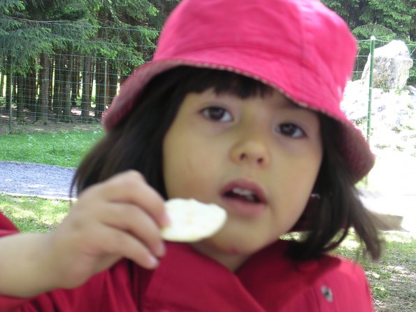 20040530_153605_DSCN1901