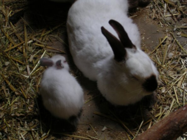 20040530_165107_DSCN1910