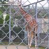 20041119_034645_DSCN2662