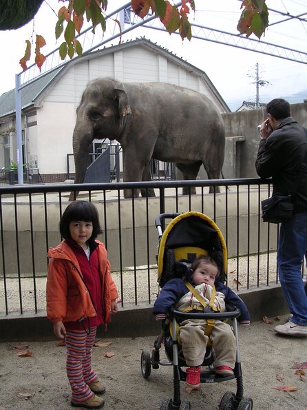 20041119_042117_DSCN2666