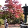 20041121_033211_DSCN2716