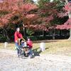 20041126_040942_DSCN2799