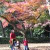 20041126_041022_DSCN2801
