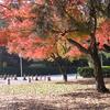 20041126_041047_DSCN2803
