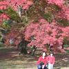 20041126_043302_DSCN2807