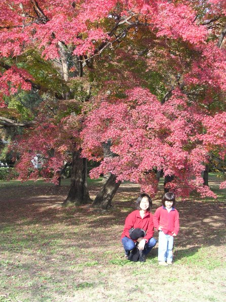 20041126_043302_DSCN2807