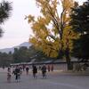20041126_062312_DSCN2809