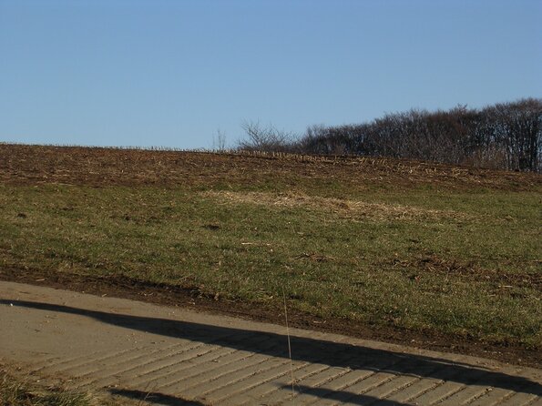 20041212_162431_DSCN2875