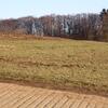 20041212_162810_DSCN2901