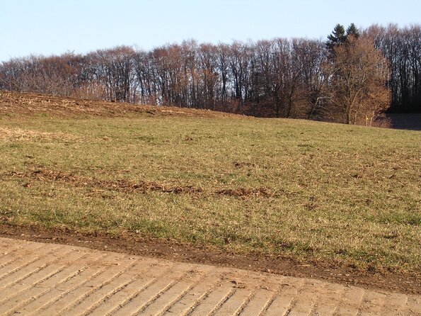 20041212_162810_DSCN2901