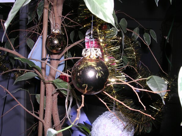20041215_120108_DSCN2932
