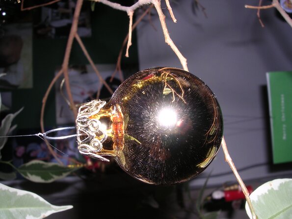 20041215_120145_DSCN2933
