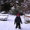 DSCN3009