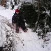 DSCN3016