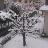 DSCN3237