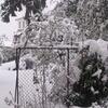DSCN3240