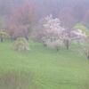 DSCN3265