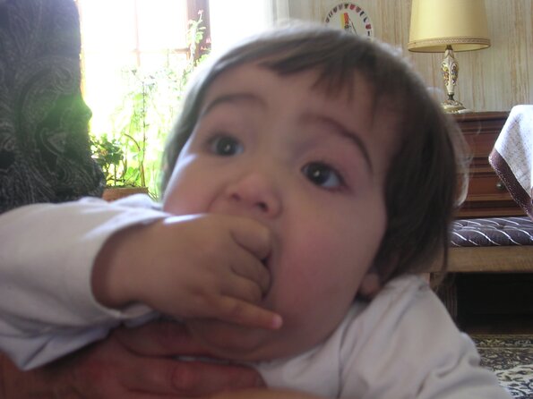 DSCN3279