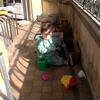DSCN3320