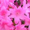 DSCN3346
