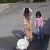 DSCN3359