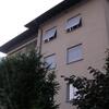 DSCN3388