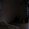 DSCN3444