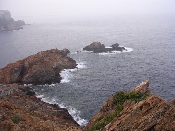 DSCN3667