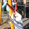 DSCN3815