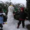 DSCN3866