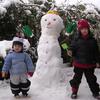 DSCN3868