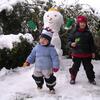 DSCN3869