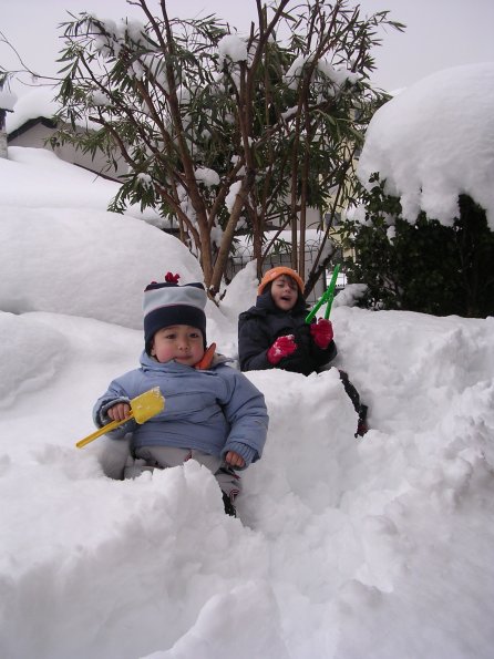 20060128_125132_DSCN3976