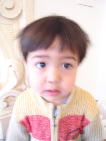 20060205_110034_DSCN3982