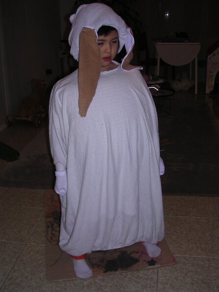 20060213_204538_DSCN3985