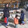 20060325_124520_DSCN4062
