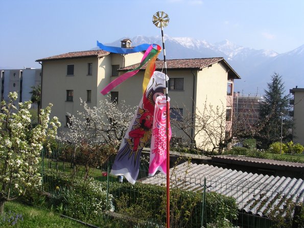 20060408_143319_DSCN4069