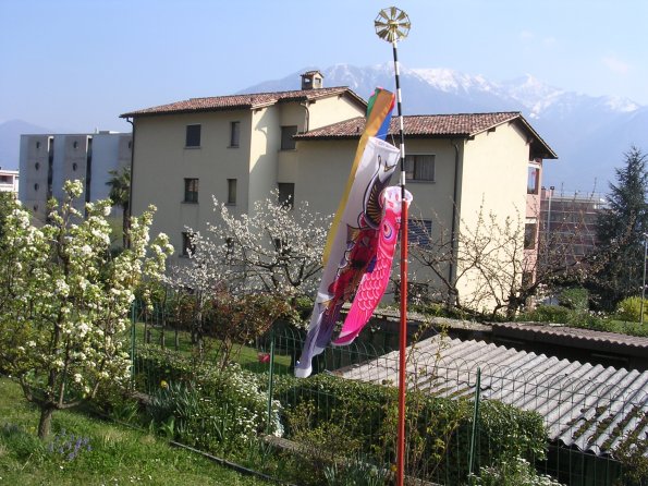 20060408_143340_DSCN4070